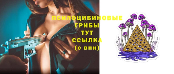 ПСИЛОЦИБИНОВЫЕ ГРИБЫ Богданович