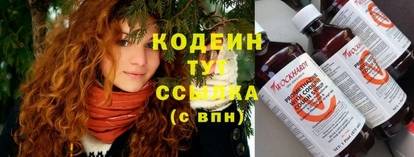 ПСИЛОЦИБИНОВЫЕ ГРИБЫ Богданович